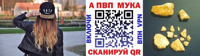 Альфа ПВП СК КРИС Тихорецк