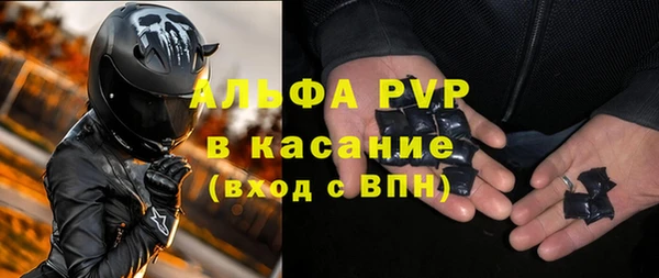 прущие грибы Нея