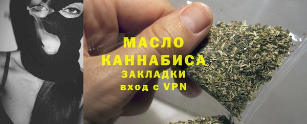 гидра Менделеевск