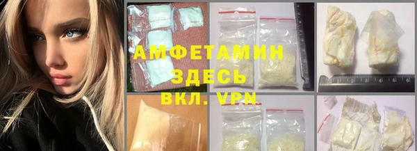 прущие грибы Нея