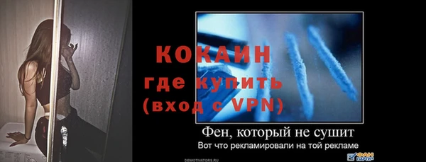 прущие грибы Нея