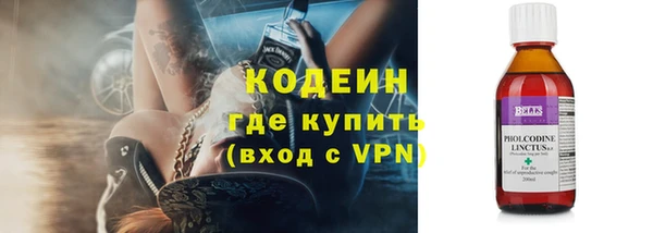 прущие грибы Нея