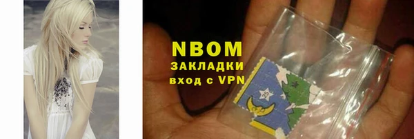 прущие грибы Нея