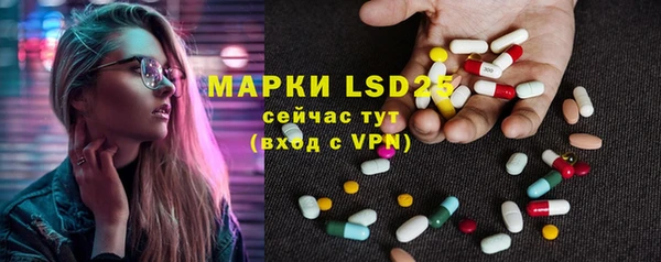 прущие грибы Нея