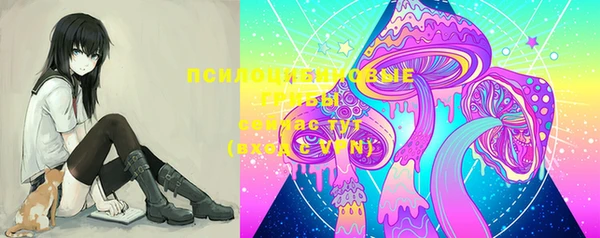 прущие грибы Нея