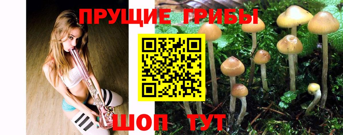 Тихорецк  Псилоцибиновые грибы мухоморы  Вход с VPN 